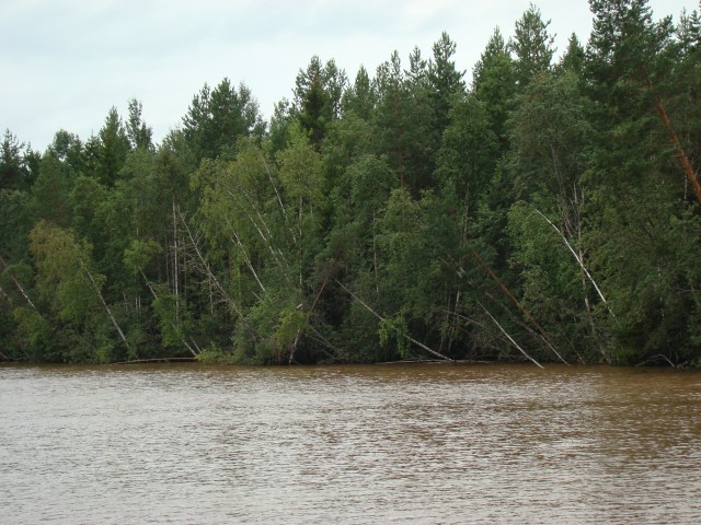 Трое в лодке