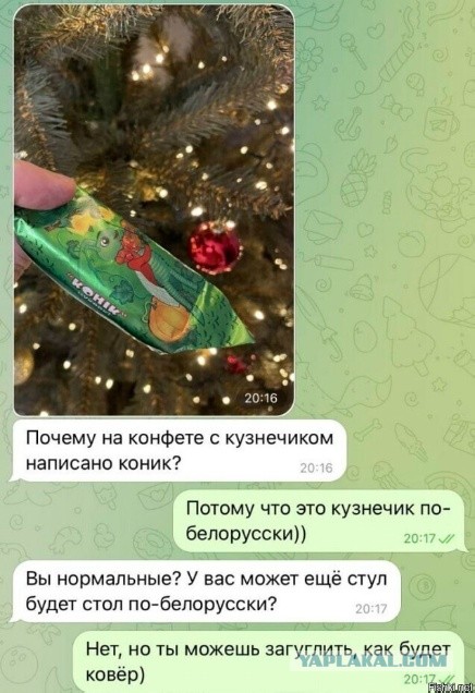 Весёлый полтишок 19.11.23