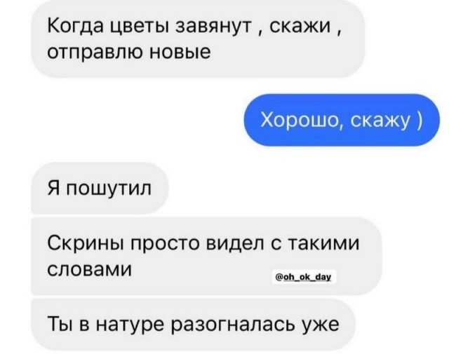 Смешные комментарии из социальных сетей 15.05.2024