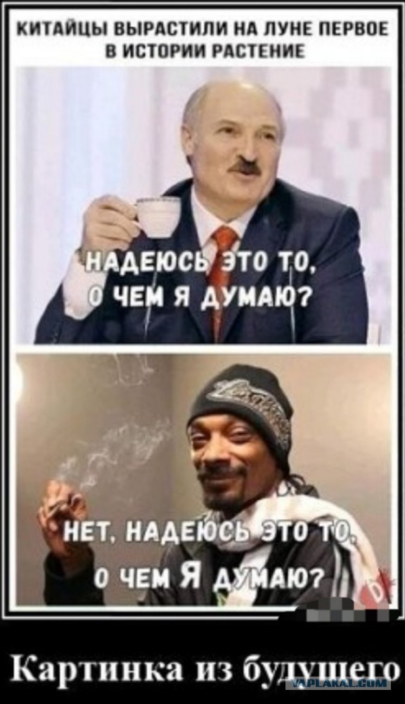 Так себе картинки 17.09.24