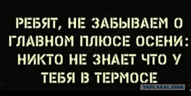 Всего понемногу. От 27.09.24