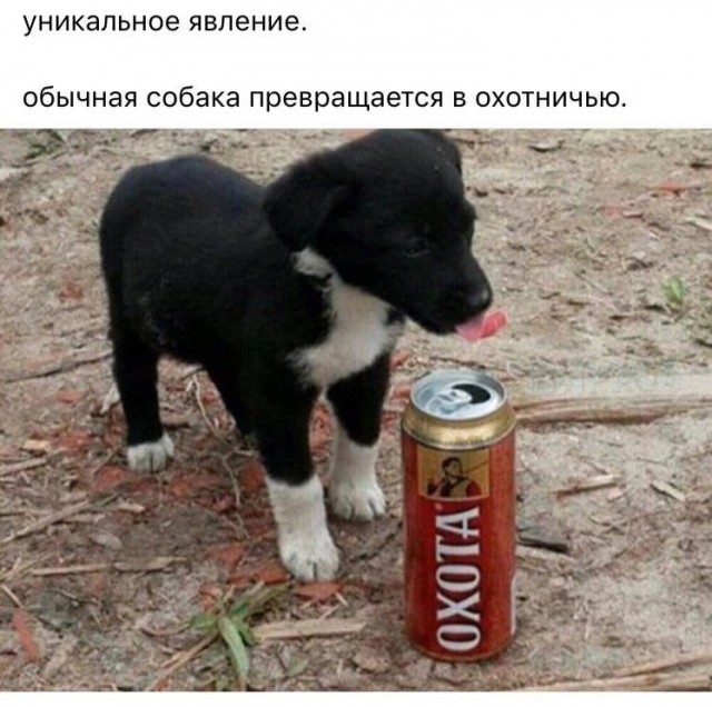 Завалялось тут случайно немного забавных картинок