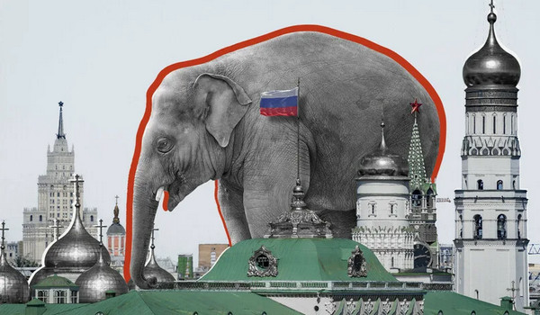 С 1 сентября россиянам запретят держать дома лис, росомах, медоедов, сервaлов, тюленей, моржей, гиен и медведей