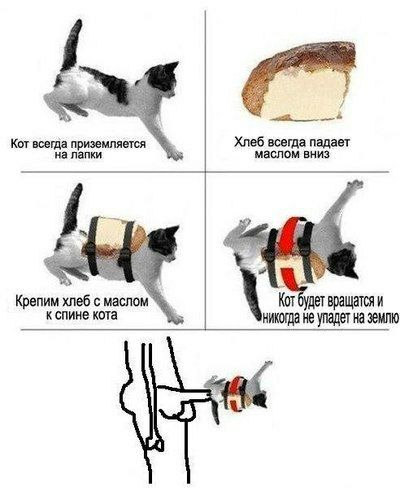 Веселые картинки в маленькую пятницу (20.08)