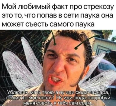 Спустя два стакана