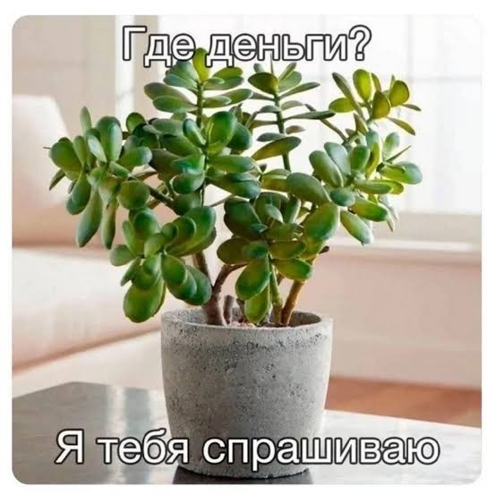 Вот, вымахал за лето.
