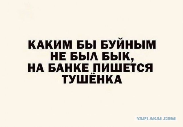 Воскресные картинки