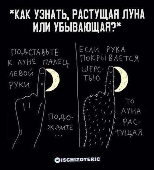 Среды картинки