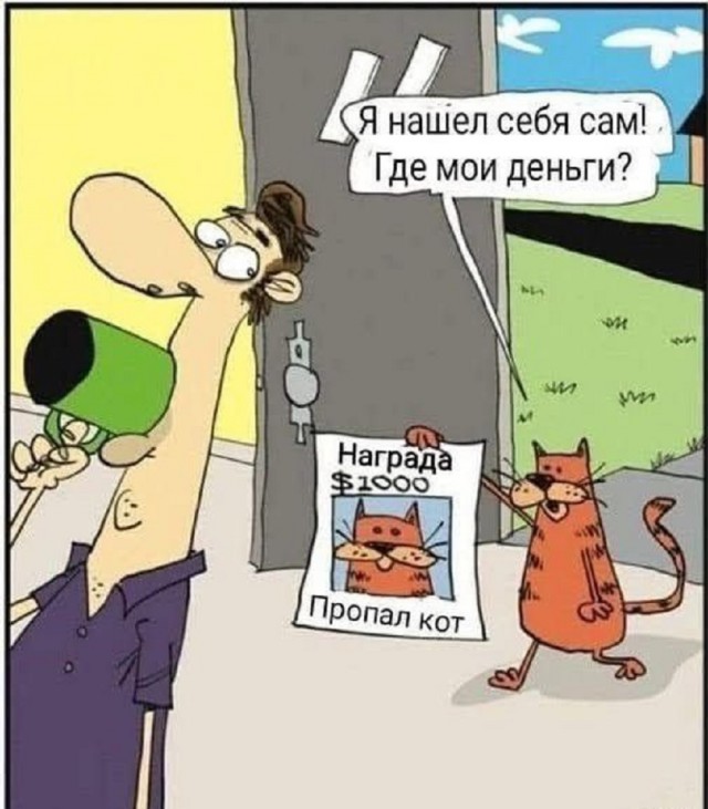 Среды картинки