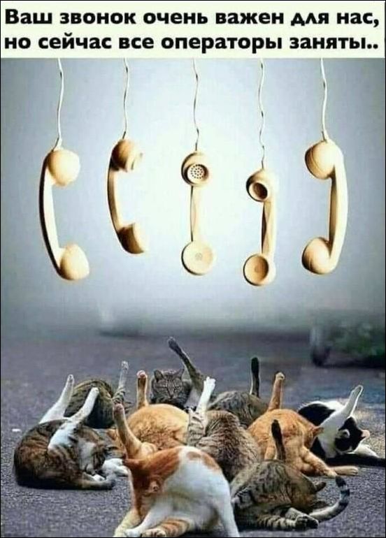 Ударим по баянам ?‍↔️