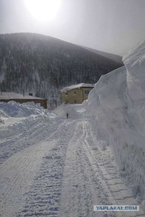 Алтай весенний