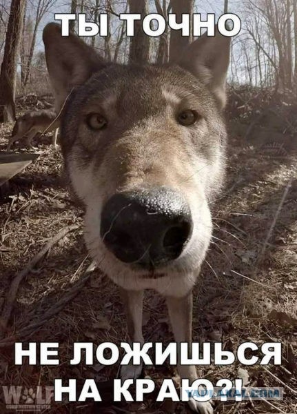Мабики - как японцы до контрацепции проблему перенаселения решали