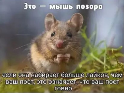 И другие приключения Шурика
