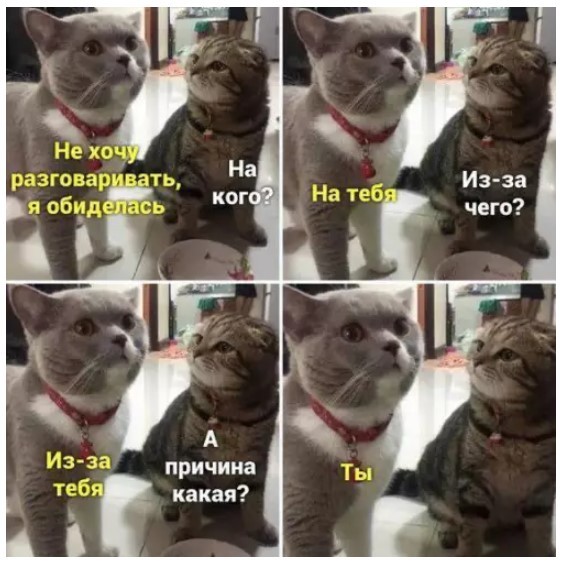 Картиночки, баянчики 09 июня