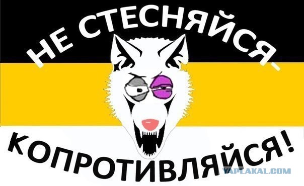 Русские бухают?