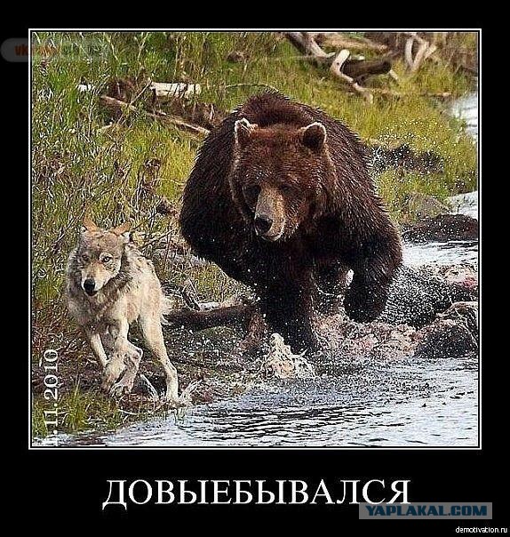 Ляшко поймали