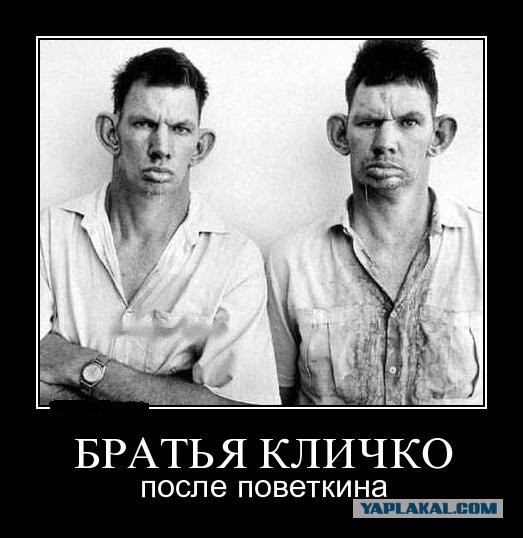 Когда Кличко несет чушь (сoub)