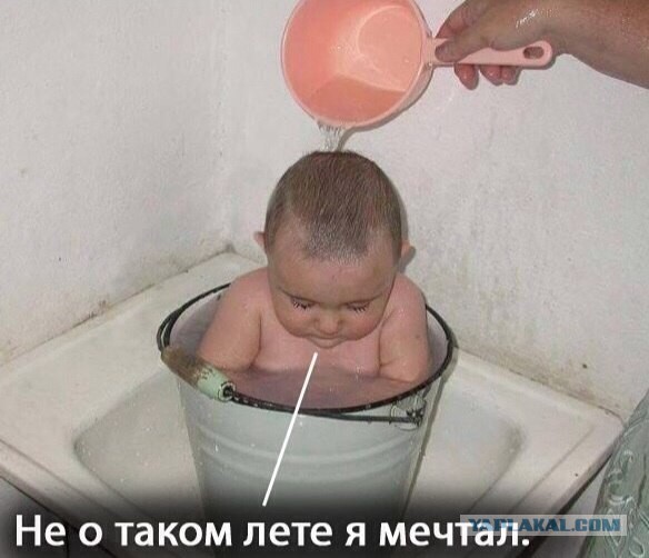 С Украины в Россию убежало 172 коровы
