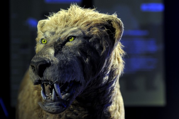 Герои ледникового периода