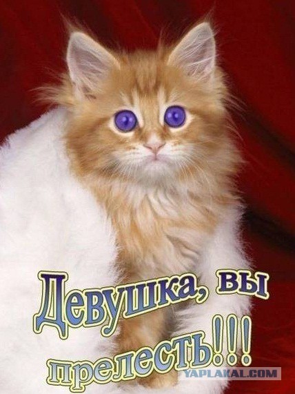 Чёрт, чёрт, чёрт!