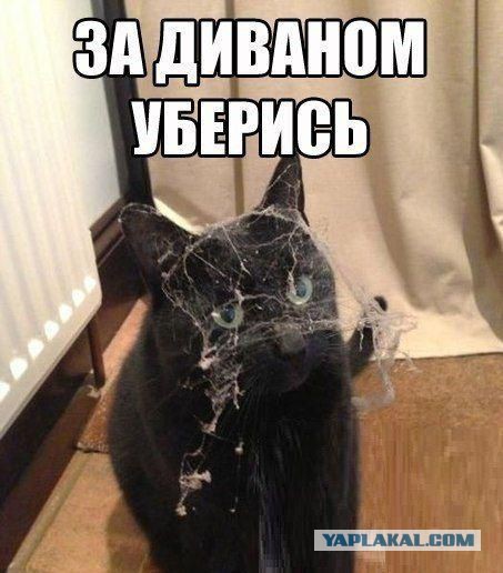 Веселые картинки