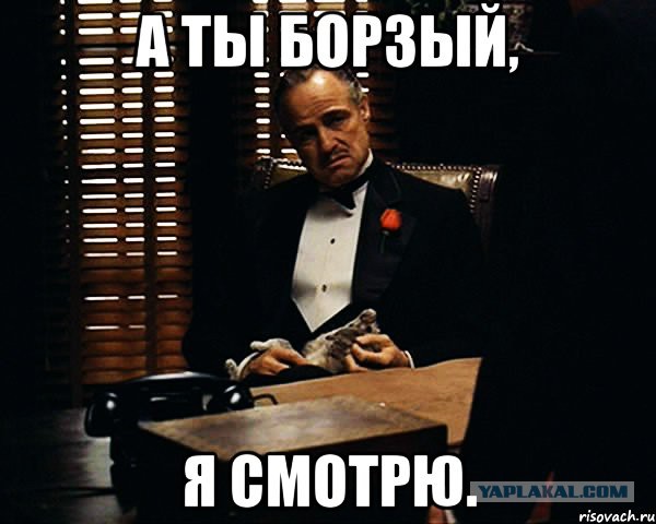 Утренний пофигист