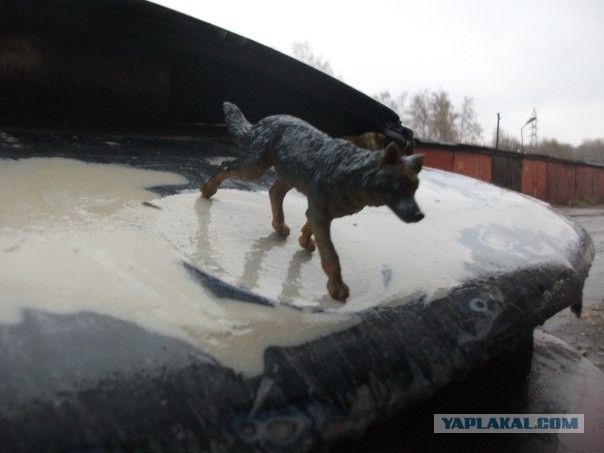 Как правильно тюнинговать авто