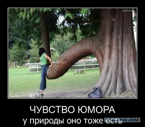 Небольшая подборочка