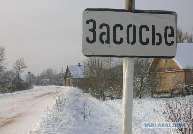 Весёлое из сети