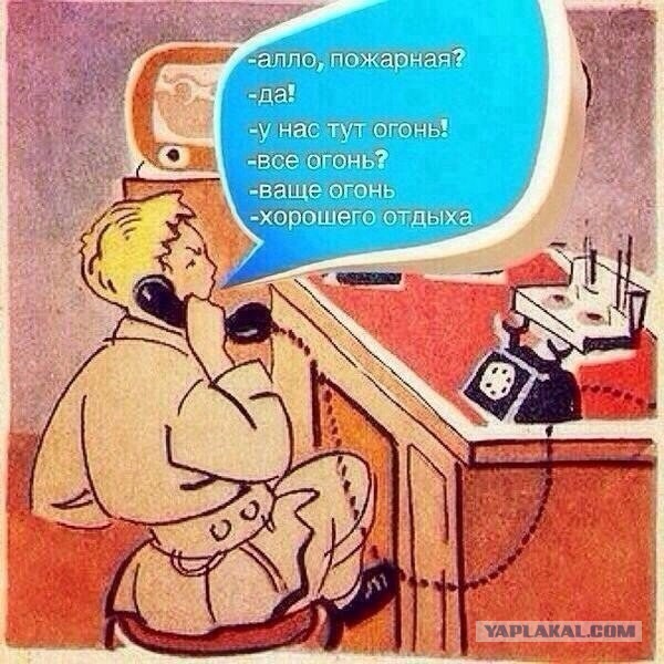 Забавные картинки из интернетов