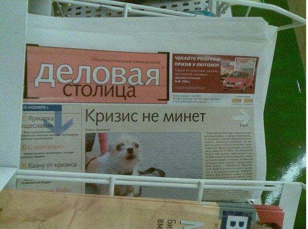 Подборка картинок на понедельник.