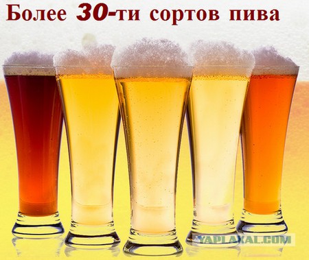 Названа самая популярная марка пива в мире