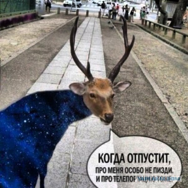 Что будет при попадании человека в черную дыру