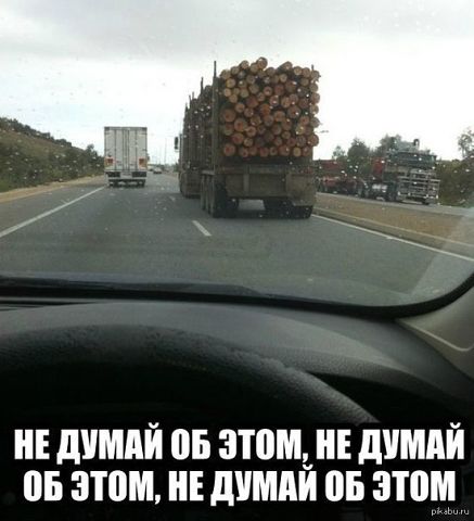 Сборная солянка