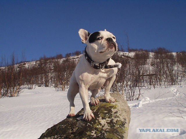 Немного Северной лирики