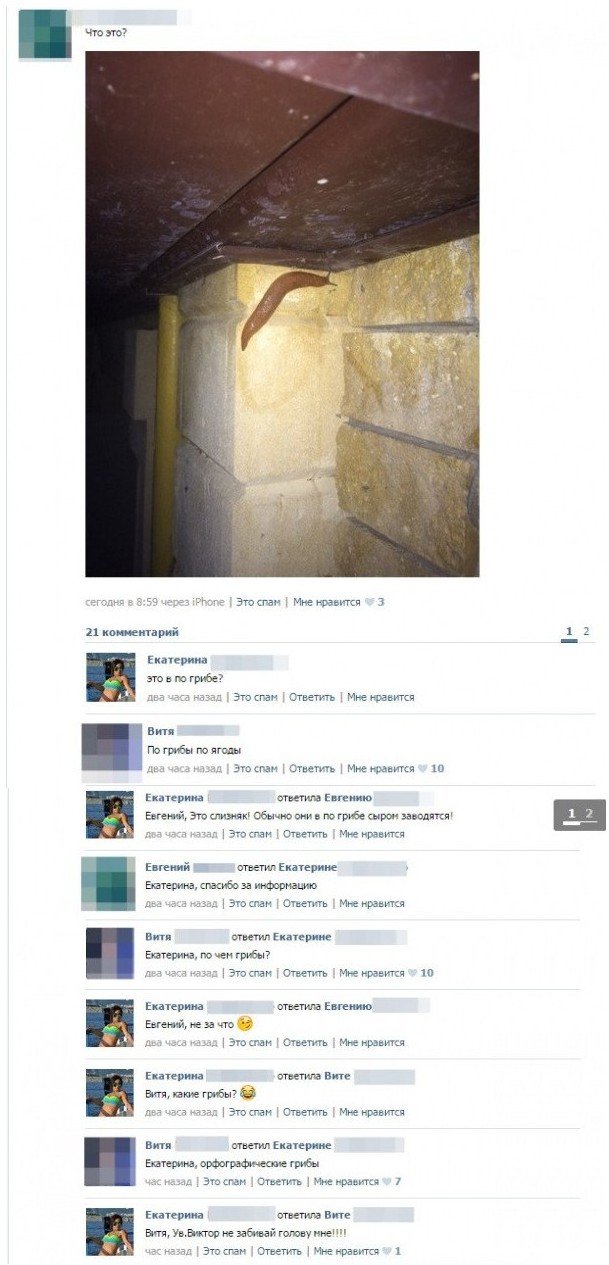 Смешные комментарии 27.09.2015