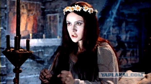 Ротару перебивается корпоративами...