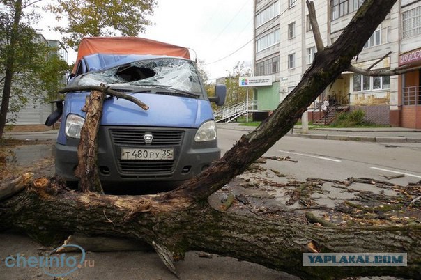 Последствия сильного ветра 3.10.2015