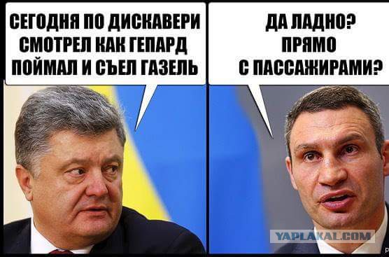 Кличко "современный"