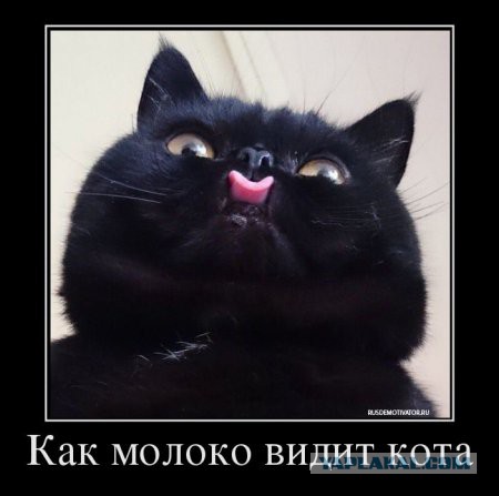 Картинки на субботу