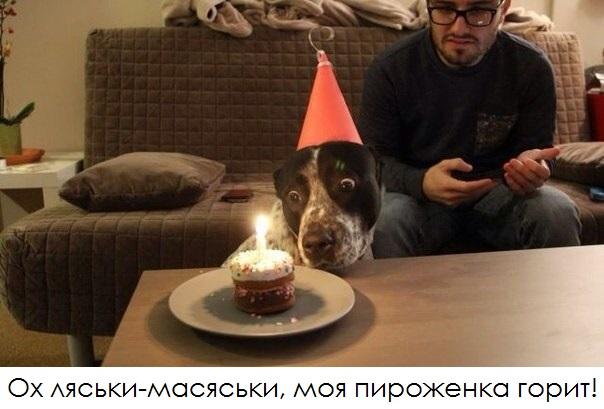 Немного картинок