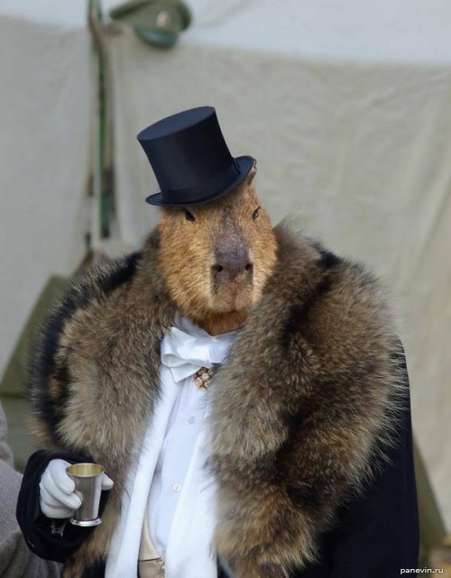 Разные картинки