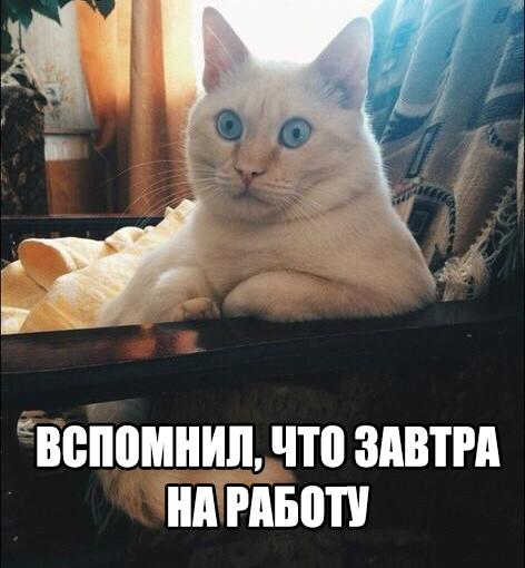 Картинки на утро вторника