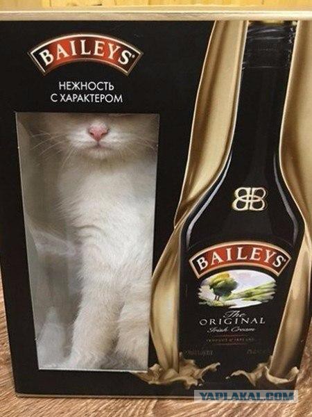 Приёмная мать