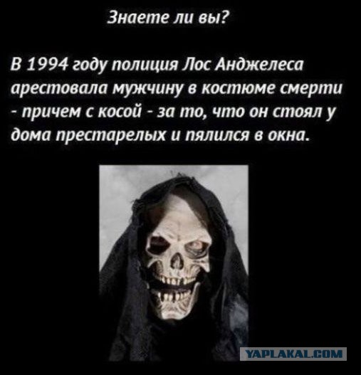 Подборка картинок ни о чём