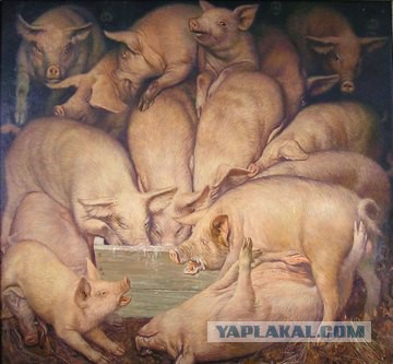 Россиян призвали не завидовать астрономическим зарплатам чиновников и депутатов