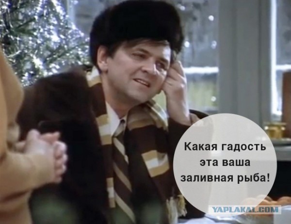 Фотографии из соцсетей