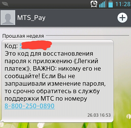 Дана Борисова и автомобиль)