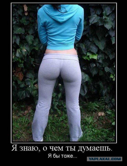 9 фактов о мужском половом органе