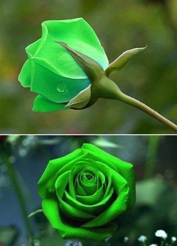 Интересные и веселые картинки